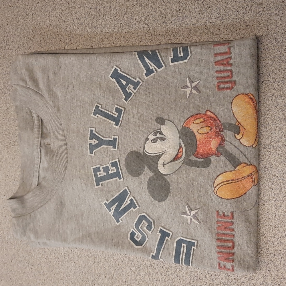 A Disneyland resort youth shirt. Size says large but looks like a medium.